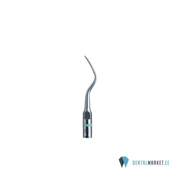 Skeiler H1