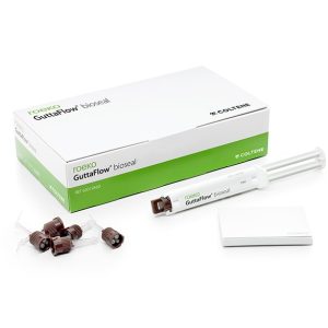 Guttaflow Bioseal Set duubelsüstlas+kanüülid